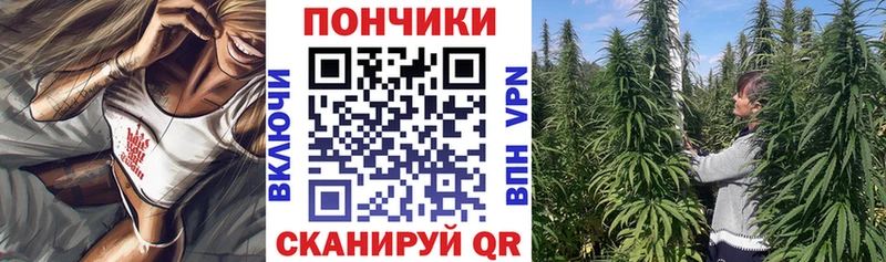 Купить  Ленинградская  Канабис VHQ 